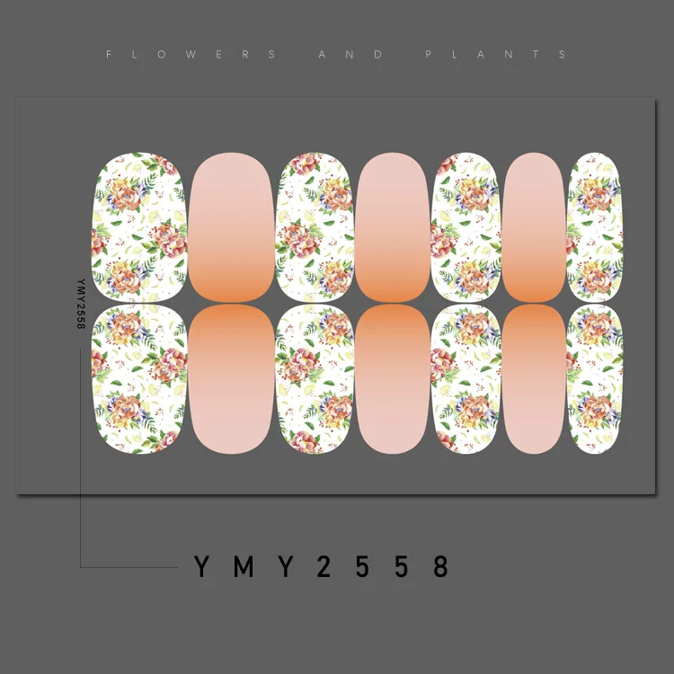 YMY2558