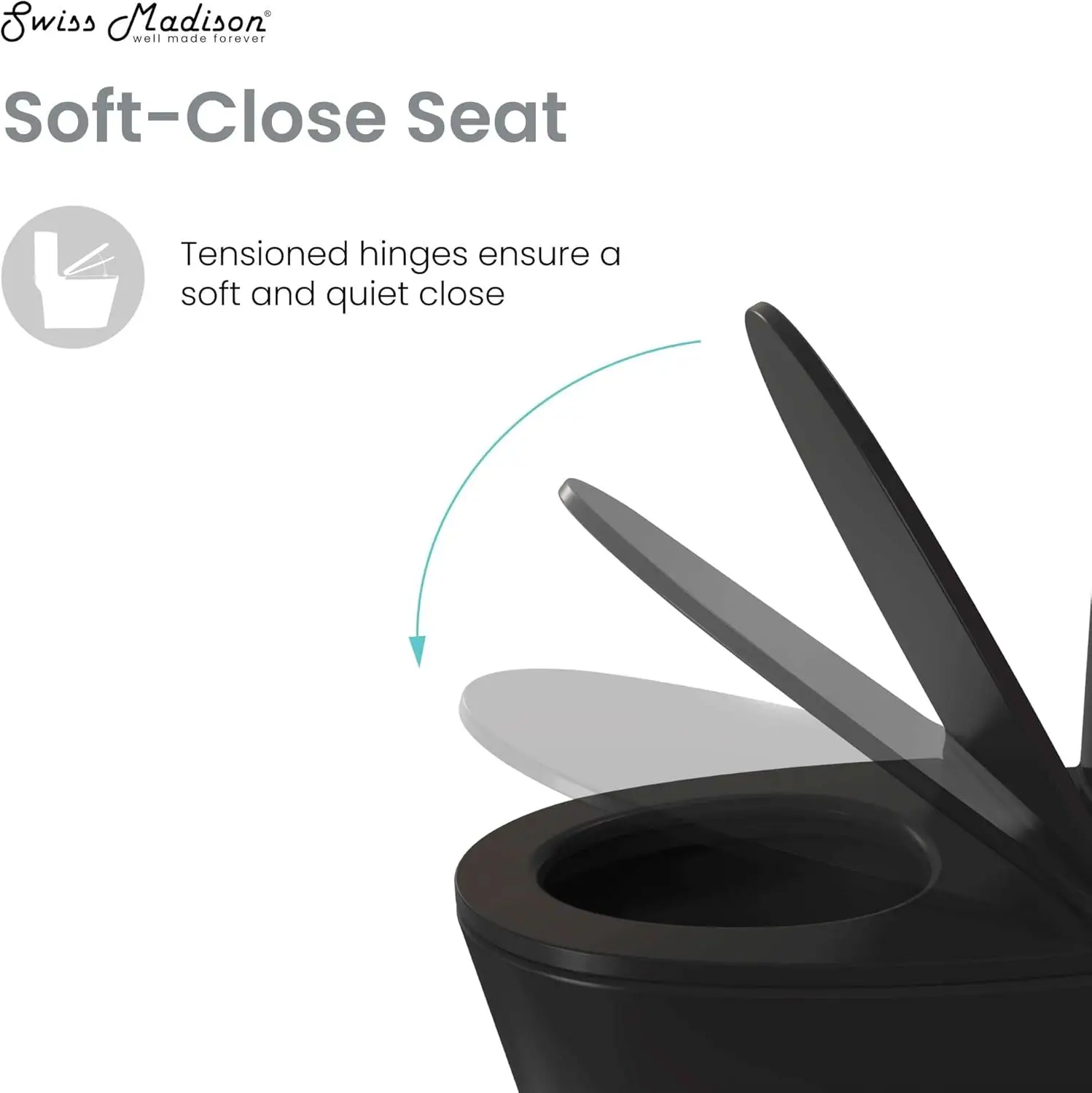 Chateau One-Piece Elongated Toilet Dual-Flush in Glossy Black 1.1/1.6 gpf Soft-Close Quick-Release Toilet Seat 5