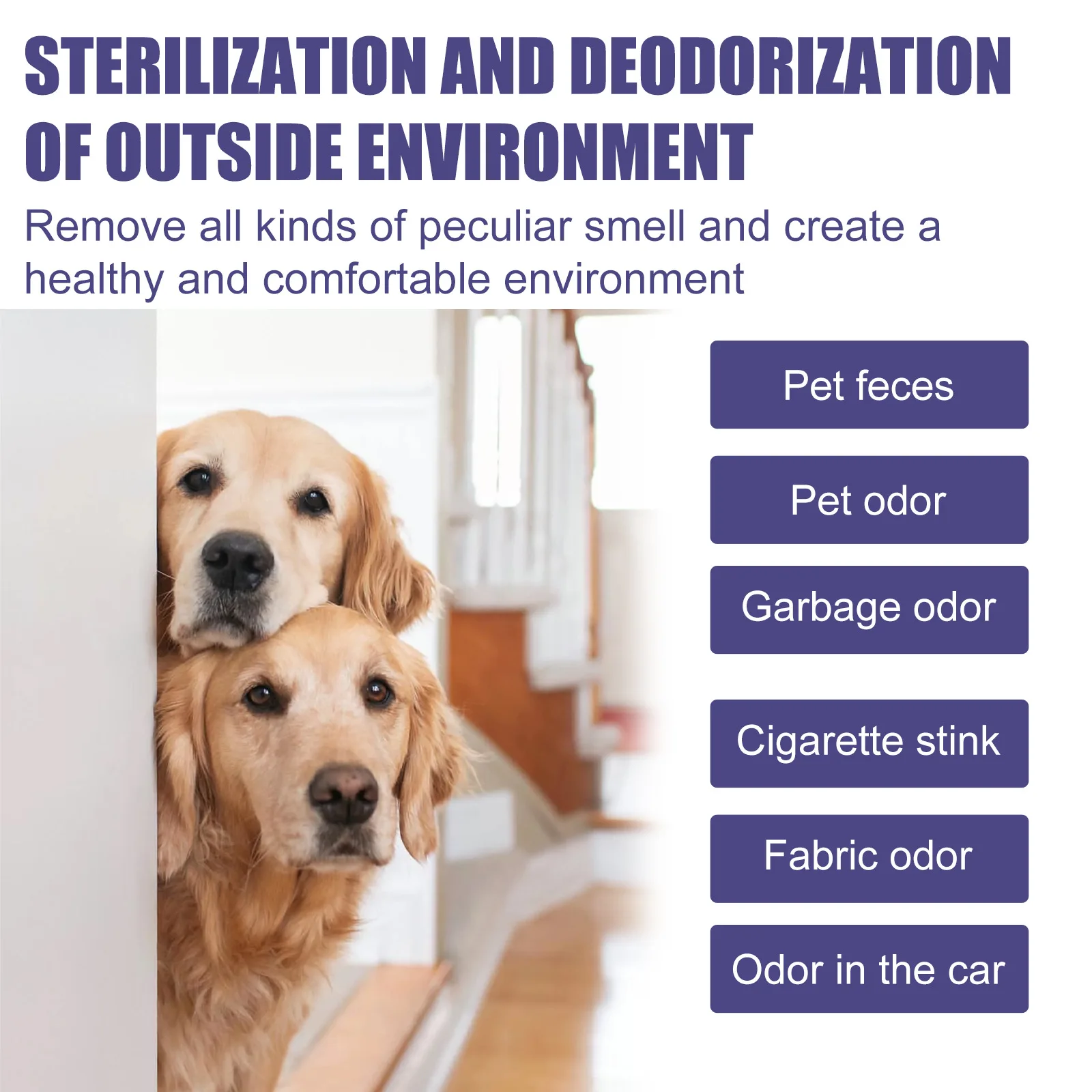 Freshen Up Your Home with Our Pet Deodorizer Spray-Eliminates Pet Odors Instantly