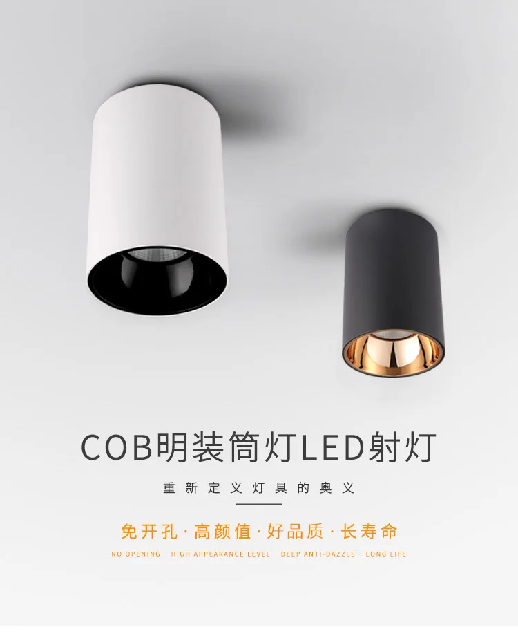 

2022Led Spotlight Teto For Surface Down New Style 1Pcs 12W Light,,Ac95-265V Lighting,With High Brightness