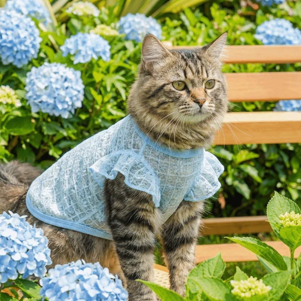 얇은 메쉬 개 쿨링 조끼 통기성 자외선 차단 고양이 자외선 차단 조끼 D-링 디자인 꽃무늬 개 여름옷