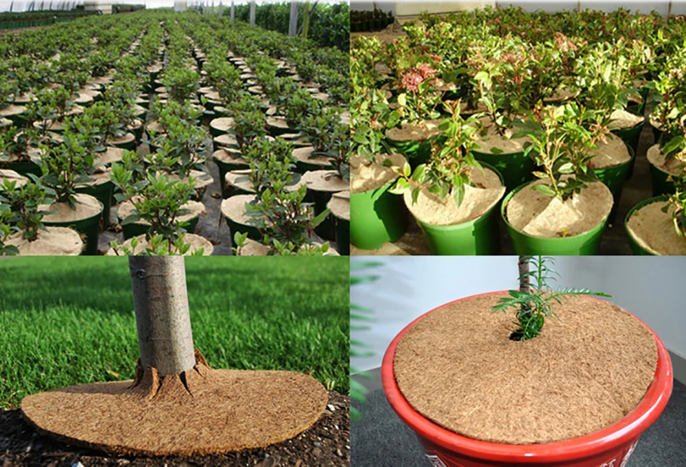 Round Tree Root Mulch Protective Mat Coconut Fiber Bonsai Pot Anti-weed Keep Warm Soil Moisturizing Covering Pad 25/30/35/40cm