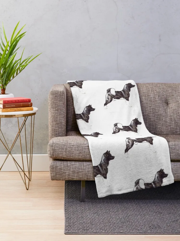 �̱� ��ŰŸ �� ǰ�� �� ���� ���ĵ� ���, �̱� ���