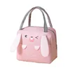 Portable Insulated Thermal Picnic Food Lunch Bag Box Cartoon Tote Food Fresh Cooler Bags Pouch For Women Girl Kids Children Gift 2