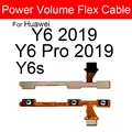 Y6 2019