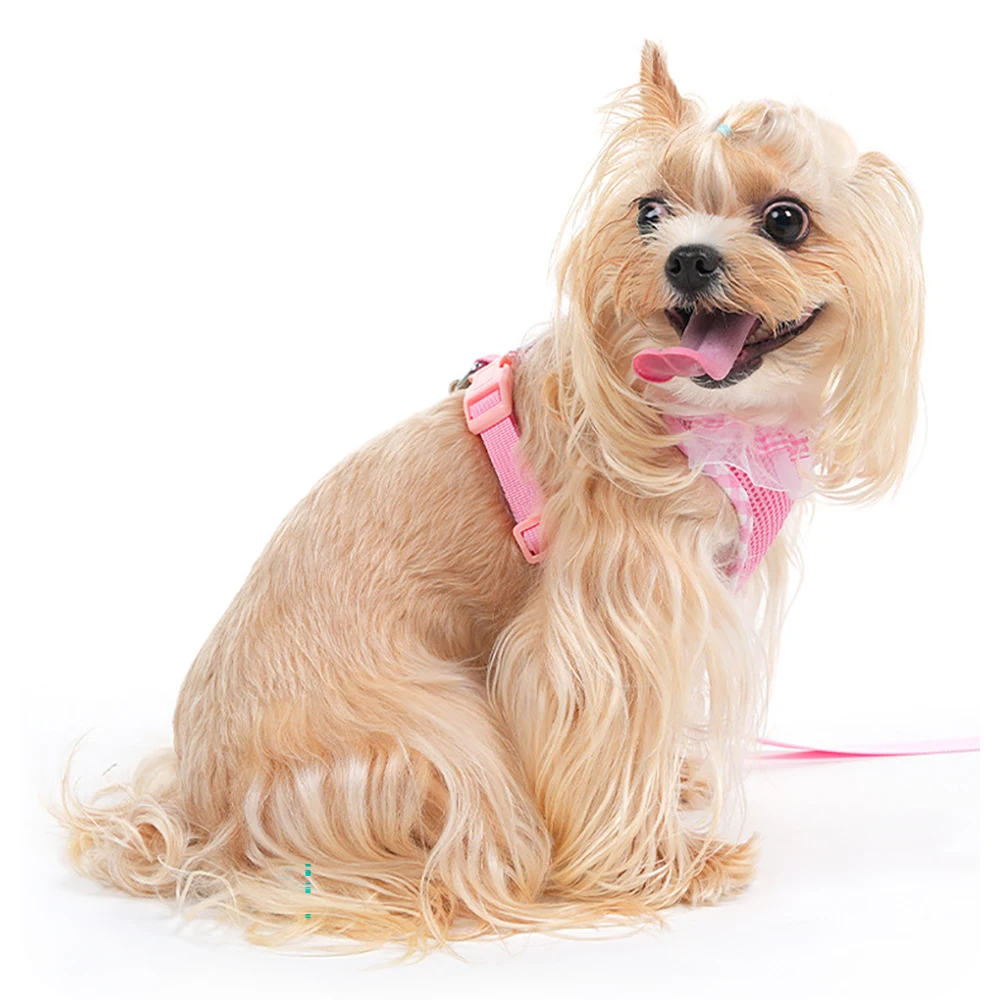 Breathable No-pull Dog Harness And Leash Set For Small Medium Dogs_voghion.com