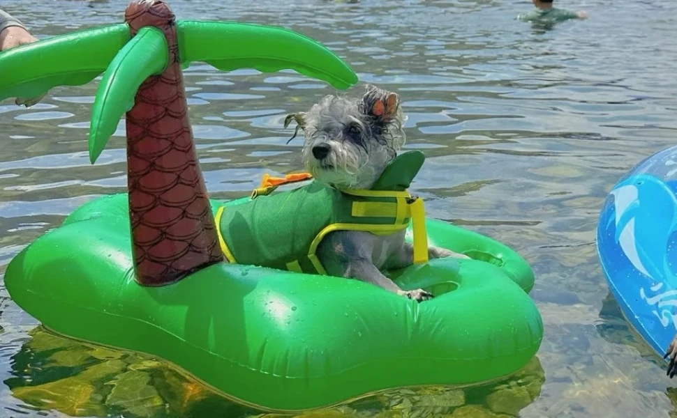 dog floats for pool dog float dog floaties for pool dog pool floats pool float for dogs dog float