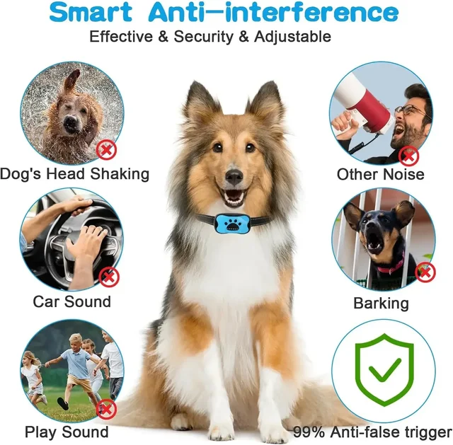 Rechargeable Anti-Bark Dog Collar 5