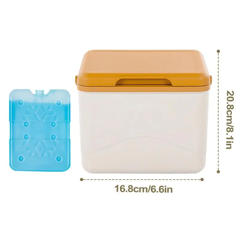 Insulated Cooler Box Waterproof Delivery Box Ice Pack Thermal Containers LeakProof Cooler Lunch 5L Ice Bag Picnic