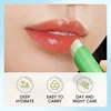 55902-093147.png Aloe Lip Balm Healing Lasting Moisturizing All-natural Lip Mask For Dry Lips Lip Moisturizing Power Lip Care Nourishing Repair