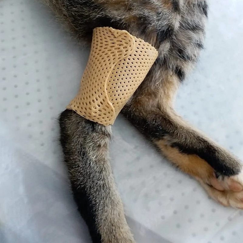 

Veterinary splints orthopedics Splints for pets bone fracture