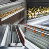 Automatic Multi-Function Brush Carrot Washing Machine Prickly Pear Vegetable Cleaning Machine Potato Washing and Peeling Machine 6