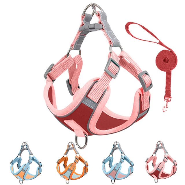 Adjustable Dog Harness For Small Dogs Cat Reflective Dog Harness And Leash Set Breathable Pet Harness Puppy Vest Dog Accessories 5