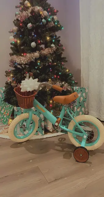 Bicicleta Infantil de 14/12 pulgadas para niña, bici para bebé de 2-3-6-8  años, buggies de princesa - AliExpress