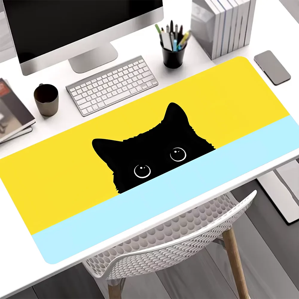 cat 6