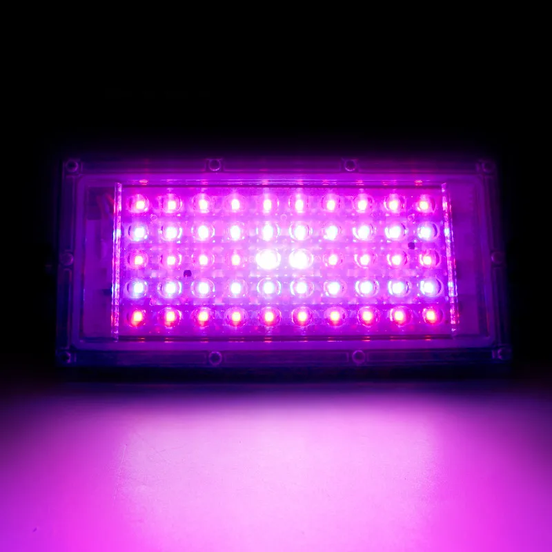 LED 식물 성장 조명, 풀 스펙트럼 관엽 식물 재배, 레드, 블루, 화이트 전구, 50W  100W