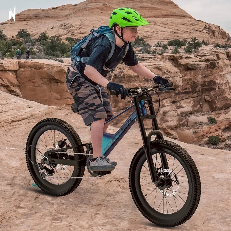 22inch Soft Tail MTB Bike DH Mountain Bicycle Magnesium