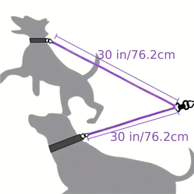 Dual Dog Leash - 360 Swivel No Tangle 2