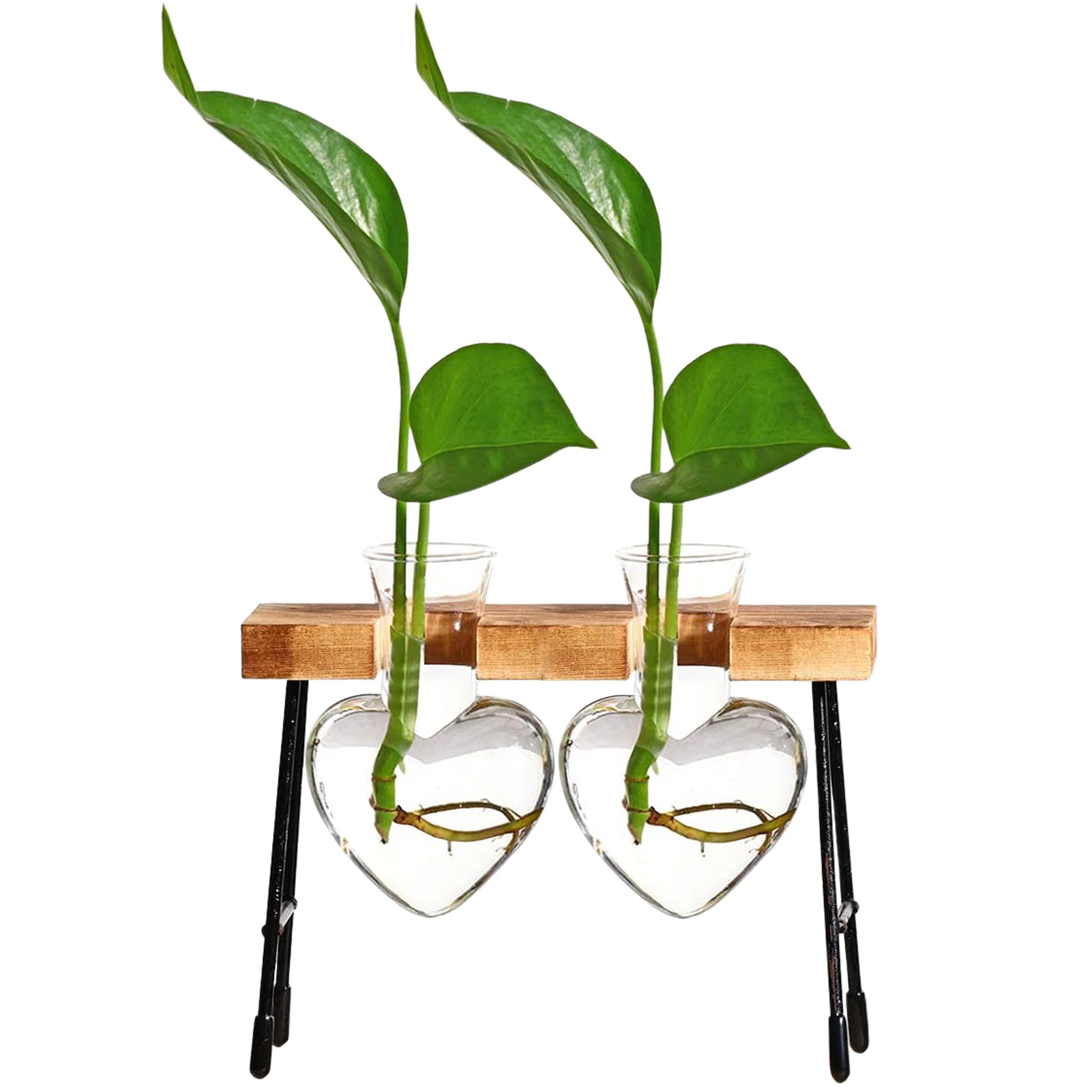 Everything You Need For Less Deloky Desktop Glass Planter Bulb Vase