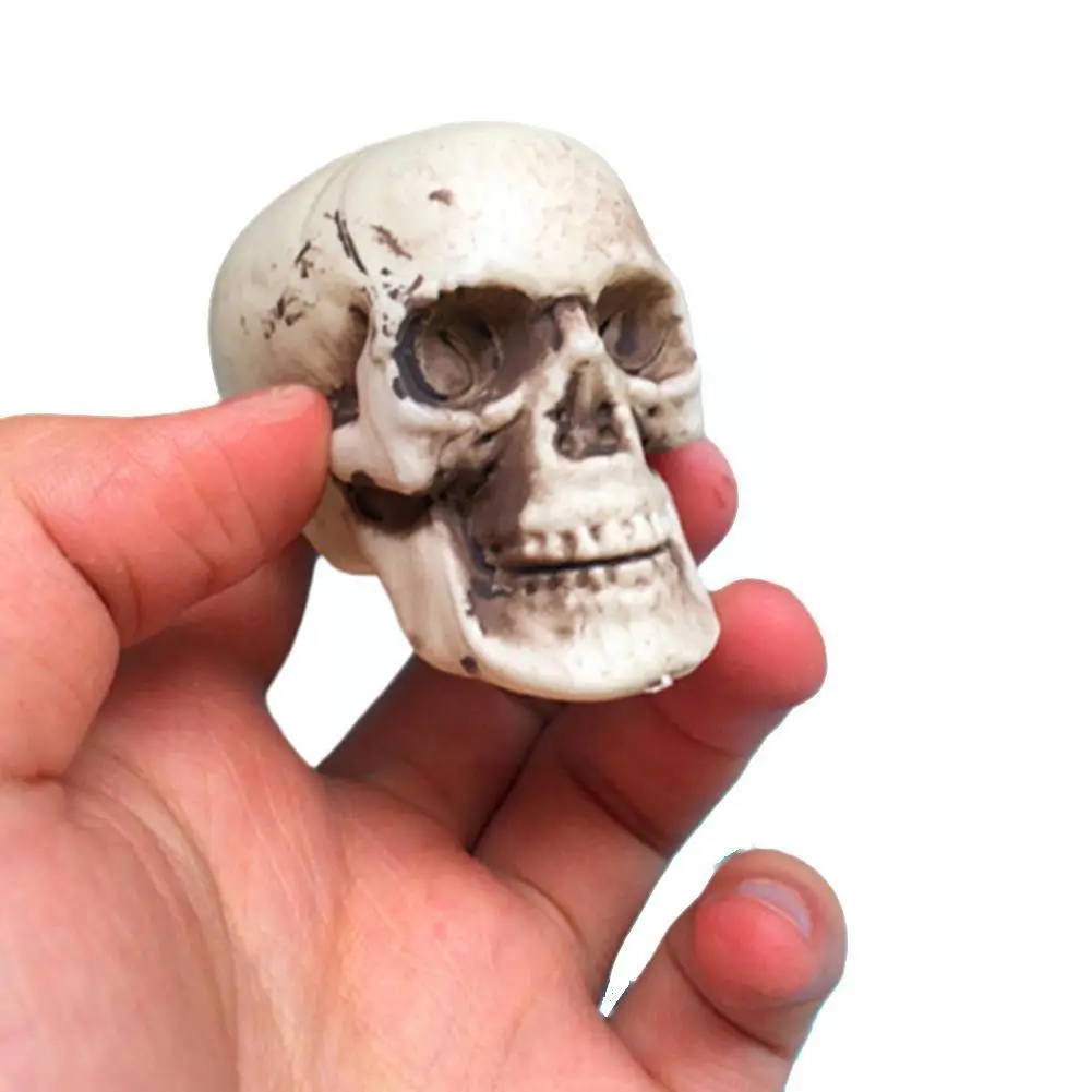 

1/6 Scale Retro Human Skull Skeleton PVC Model Pendant Decorations for 12in Action Figure Toys Accessory U6A5