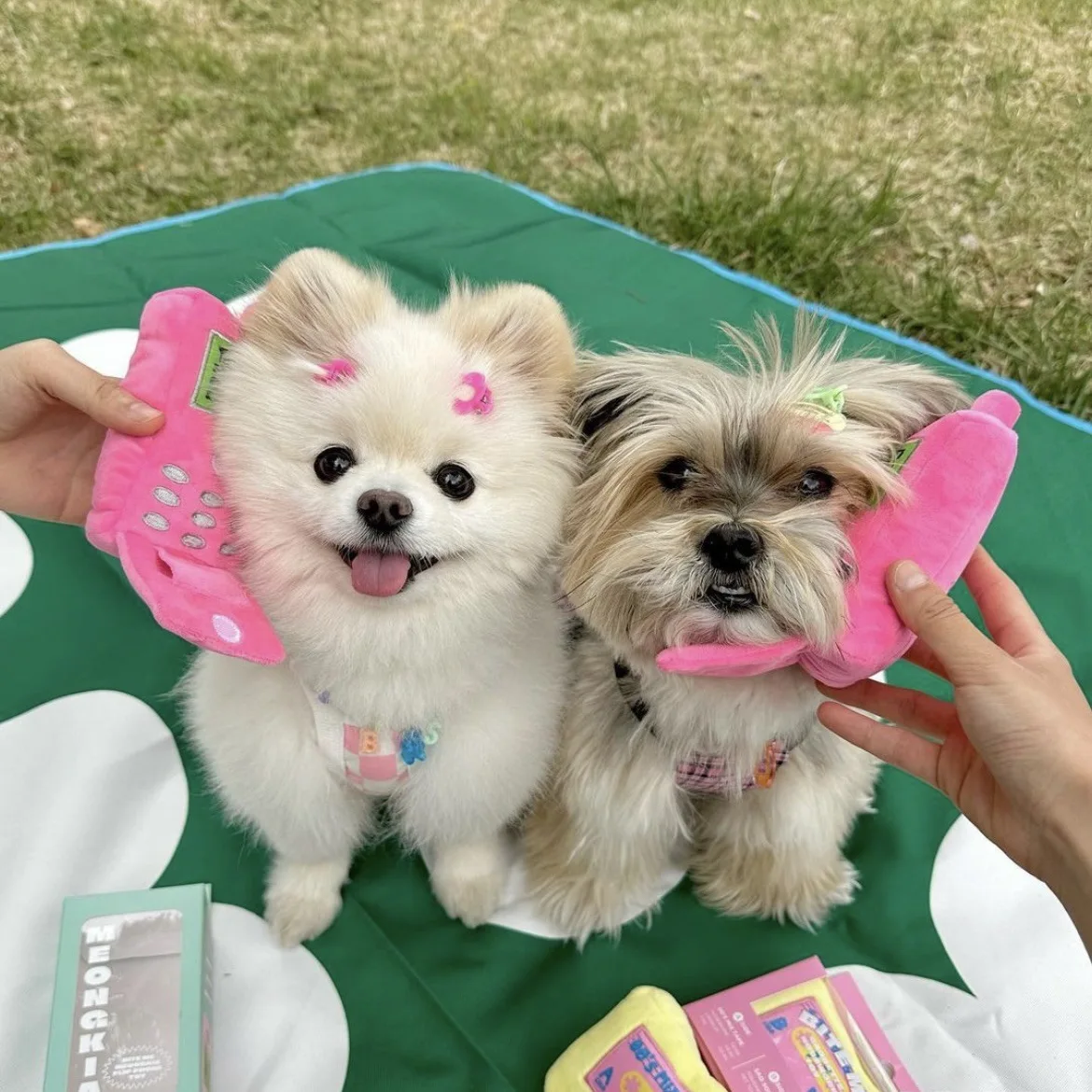 

Ins New Cute Simulation Mobile Phone Dog Toy Nose Interaction Toy Squeak Stuffed Toy Simulation Hand Puppy Accessories