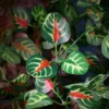 1pcs Home decoration with suction cup, simulation plant reptile box decoration, landscape viewing, aquarium 6