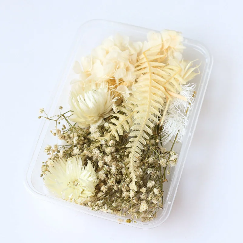 1Box White Dried Flowers for DIY Aromatherapy Candle Making Epoxy Resin Mold Jewelry Accessories Wedding Bouquet Home Decoration