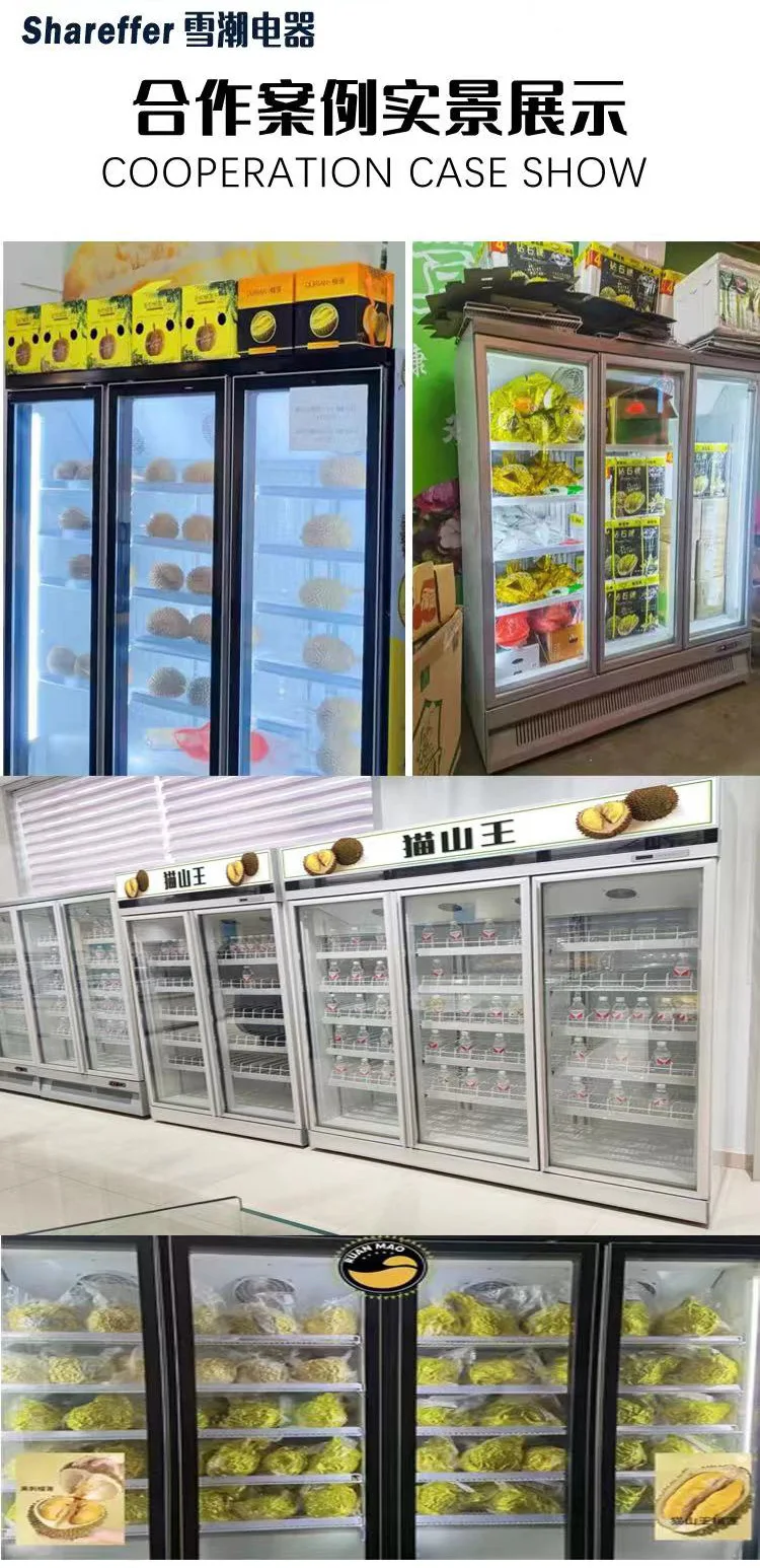 Musang King Durian Freezer _05 jpg
