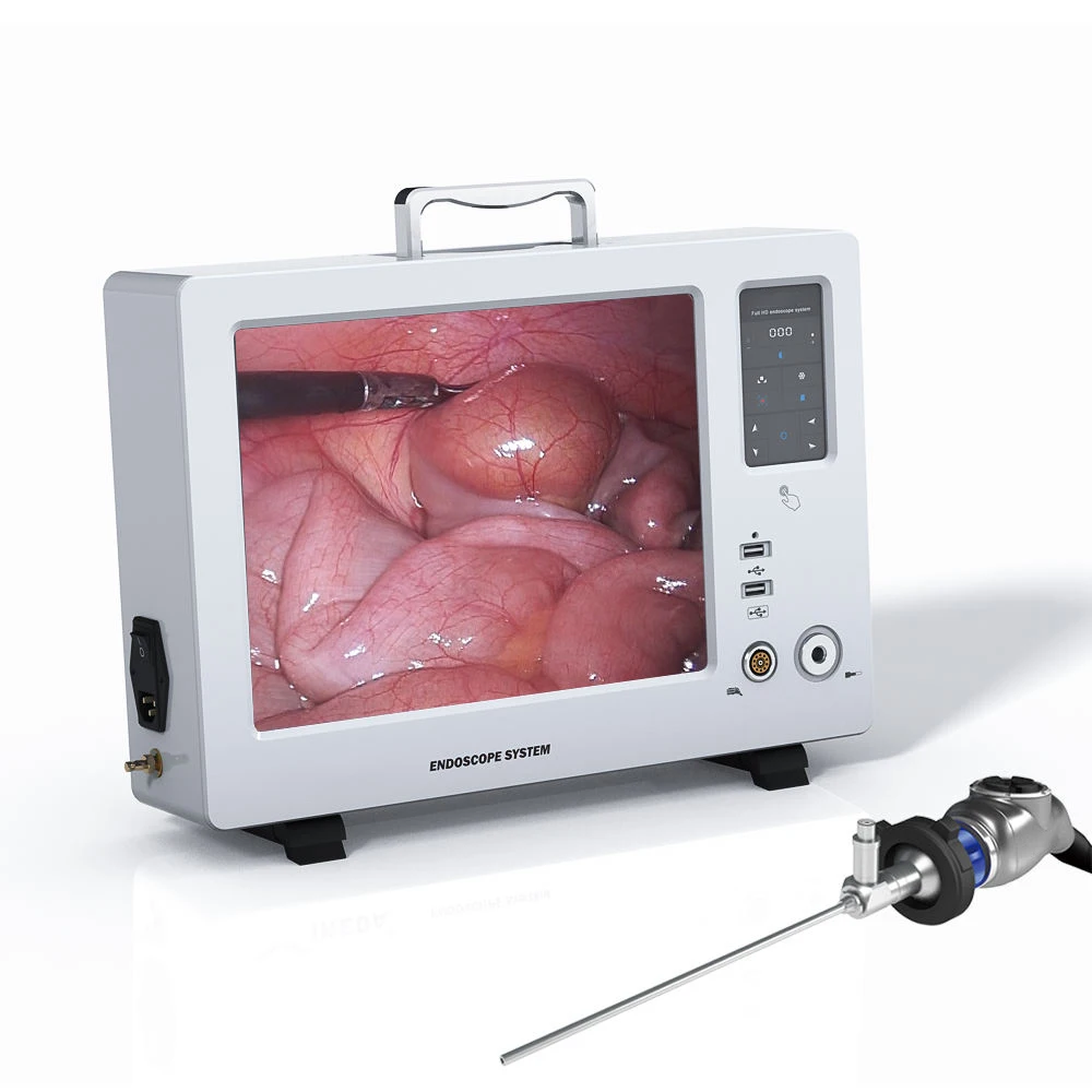 

19 inch portable all-in-one endoscopy unit for veterinary urology