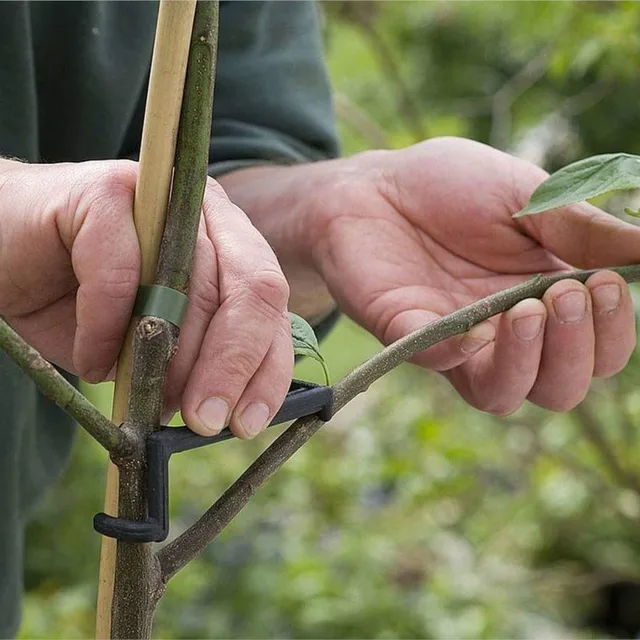 5Dcs Gyümölcsfa Ág Végtag -Terjedője Az Erősen Elterjedő Lábszögek Ágak Bonsai Csomagtartók Modellező Eszközök - Image 5