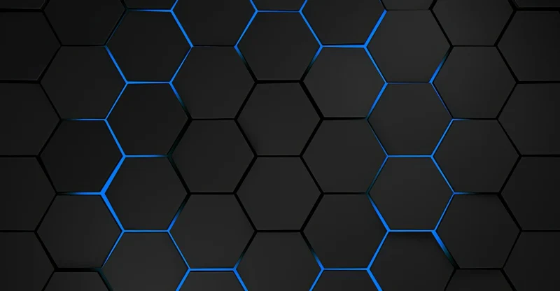 1005004495902653