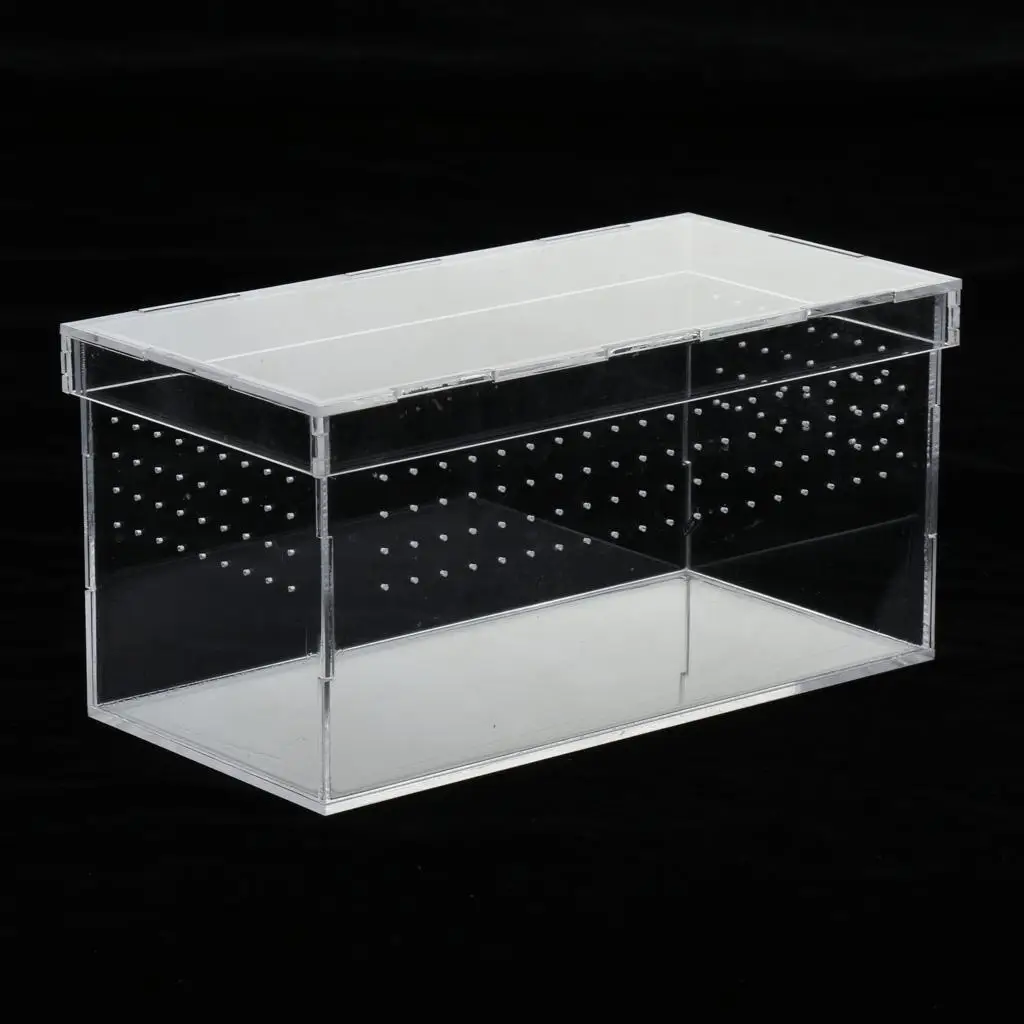 Plastic Reptile Vivarium Terrarium Easy to Observe with Reptile Terrarium Accessories for Small Animal Care