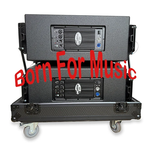 FIR 전문 스피커 플레이트 앰프, 양방향 앰프 모듈, DSP 포함, 클래스 D, 800W + 400W