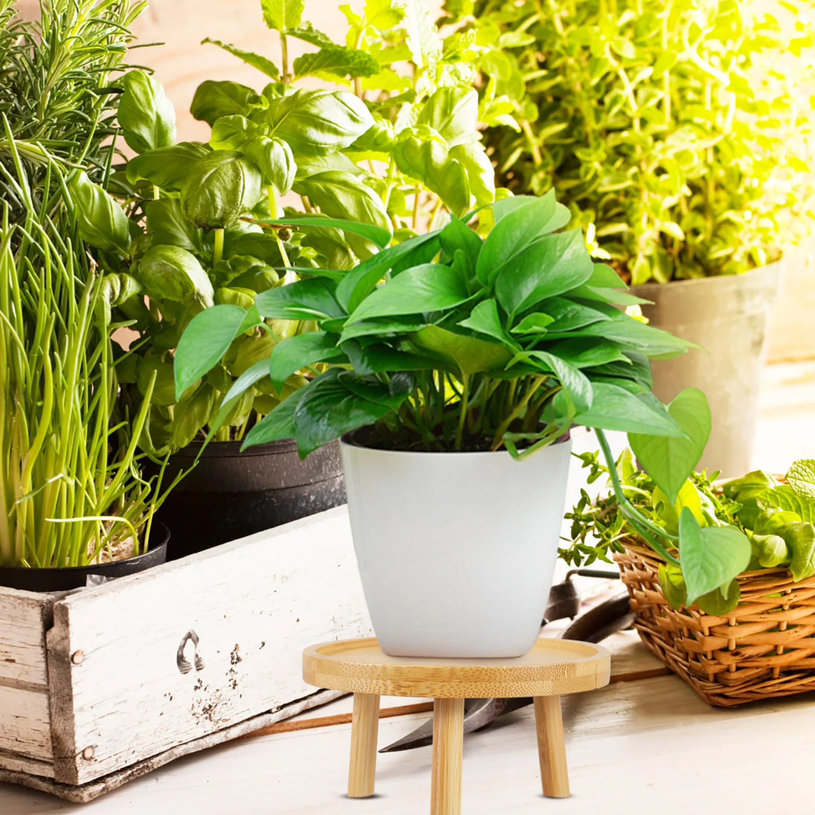 Plant Stand Round Wood Decorative Rack Solid Wood Flower Pots Planters Vintage Indoor Garden Balcony Planter Stands Smooth Modern Planter
