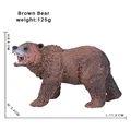 Brown Bear