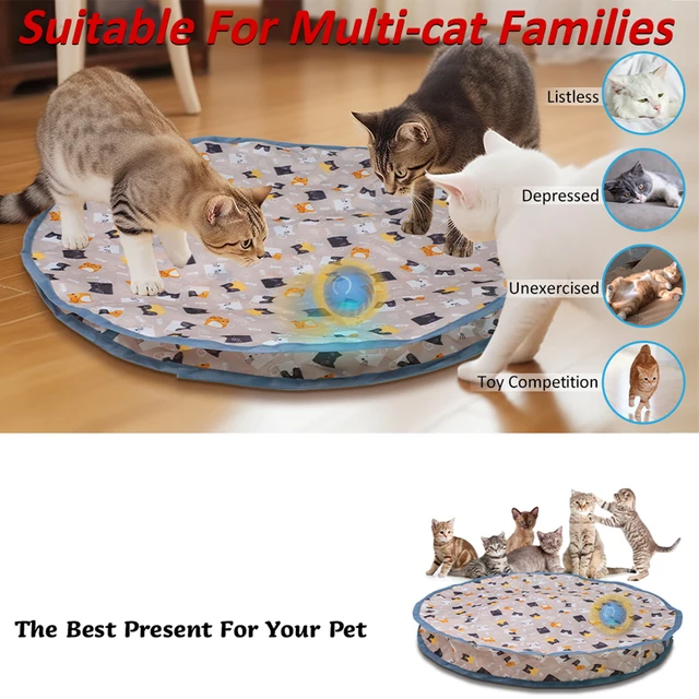 Interactive Cat Toys Ball Cover Set Fast Rolling in Pouch Hide and Seek Kitten Toy Motion Activated Interactive Cat Toy Indoor 3