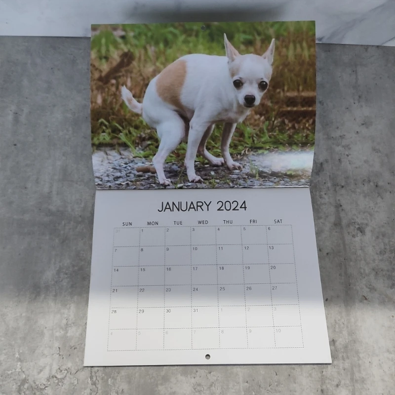 2024 Calendar Dogs Making Poops Family Planner & Daily Organiser -  AliExpress