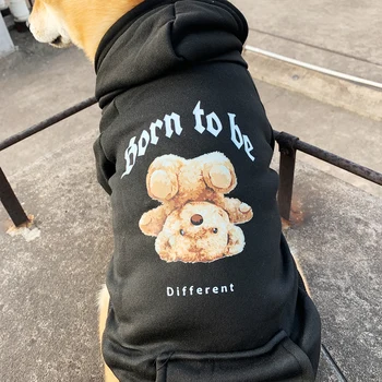 Sweat à capuche pour chiens Born to be Different - 2025 - Doglovedesign : Vêtement et accessoires pour chiens