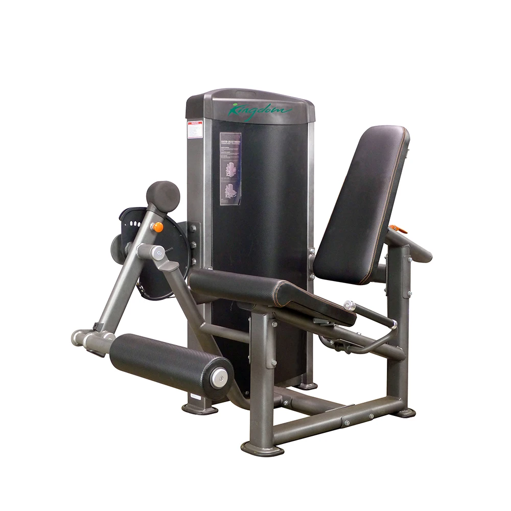 Attrezzatura Da Palestra Commerciale Fitness Singola Stazione Seduta Leg Extension / Leg Extension / Leg Curl Machine