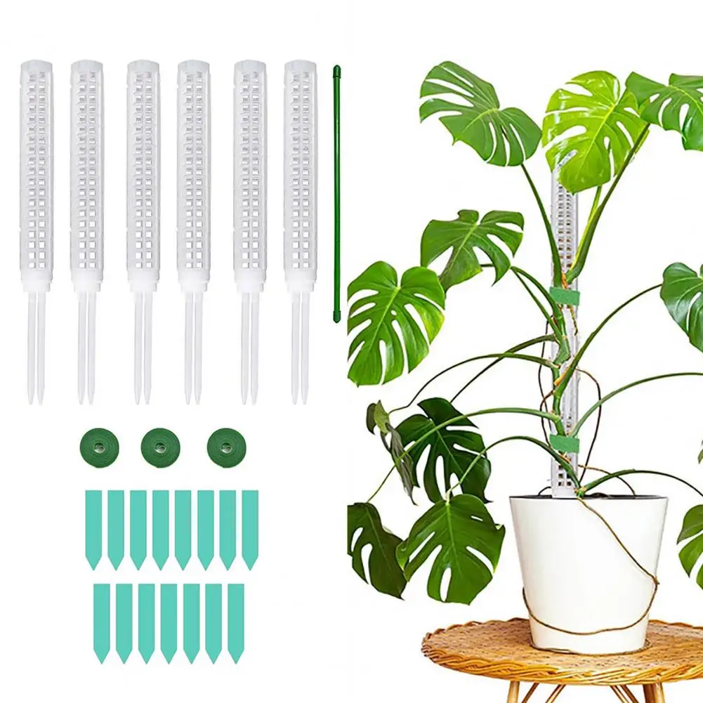 

Climbing Plants Pole Durable Plant Poles for Indoor Climbing Plants High Strength Support Accessories for Potted Plants Easy