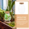 Diy Betta Bottle Micro Landscape Container Bryophyte Ecological Bottle Glass Terrarium Vases Home Decor Plant Pot Storage Jar 6