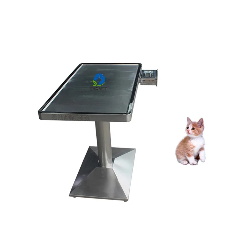 

EUR PET Best Sale Vet Weighing Diagnostable Veterinary Equipment Veterinary Treatment Table