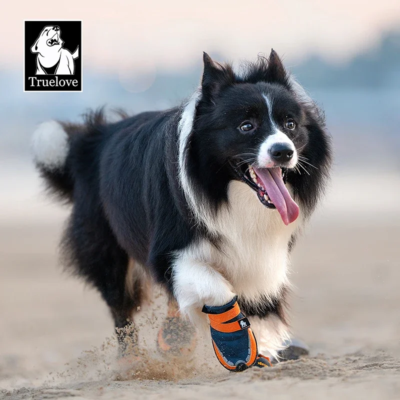 Reflective Pet Buggy Shoes 6