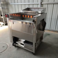 2025New Commercial Vegetable Fruit Washing Peeling with Brusher Cleaning Potato Machine Stainless Steel 304 1