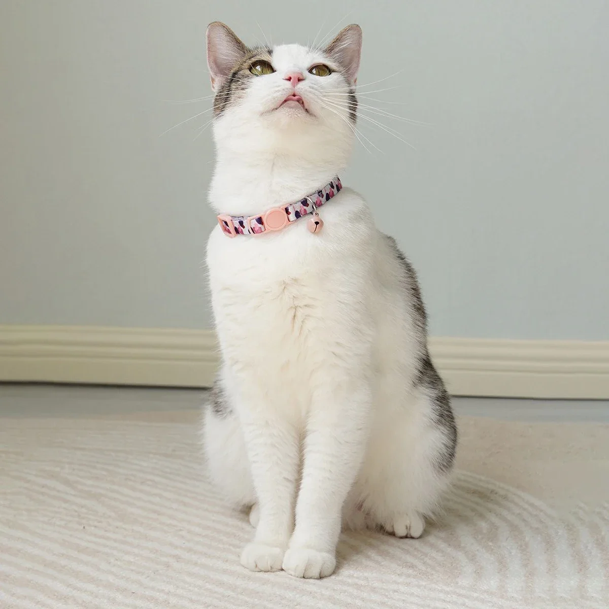 Concise Design Cat Weaving 15-30cm Necklace Collar with Bell Anti-Suffocation Comfortable Safe Buckle Pet Decoration Accessory