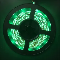 Vibrant 5M LED Strip Light with 300 Color - Changing LEDs (Green)