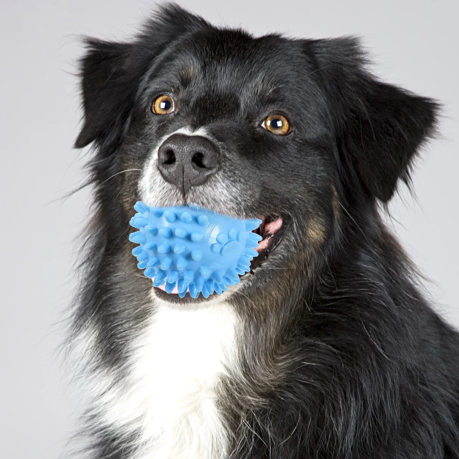 

Dog Teething Toy Flying Plates Puppy Plaything Chewing Toys Outdoor Flight Small Dogs Tpr Interactive Playset