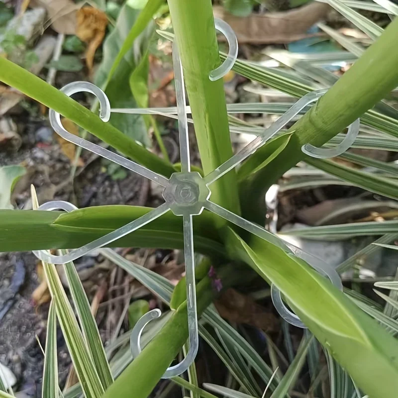 4 Plastic Plant Support Clips Transparent Green Vine Climbing Frame Adjustable Plant Stem Clips For Fixing and Upright Growth plant support clip
