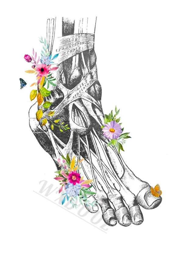 Butterflies Aesthetics Nordic Style Anatomy Art Canvas Print Posters for Home and Hospital Decor
