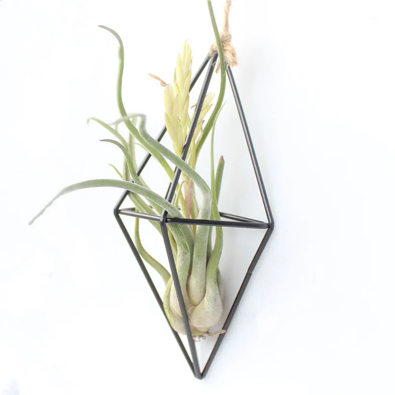 Metal Hanging Plant Pot Holder for Air Plants Display Chains Wall Hanging Geometric Air Plants Rack